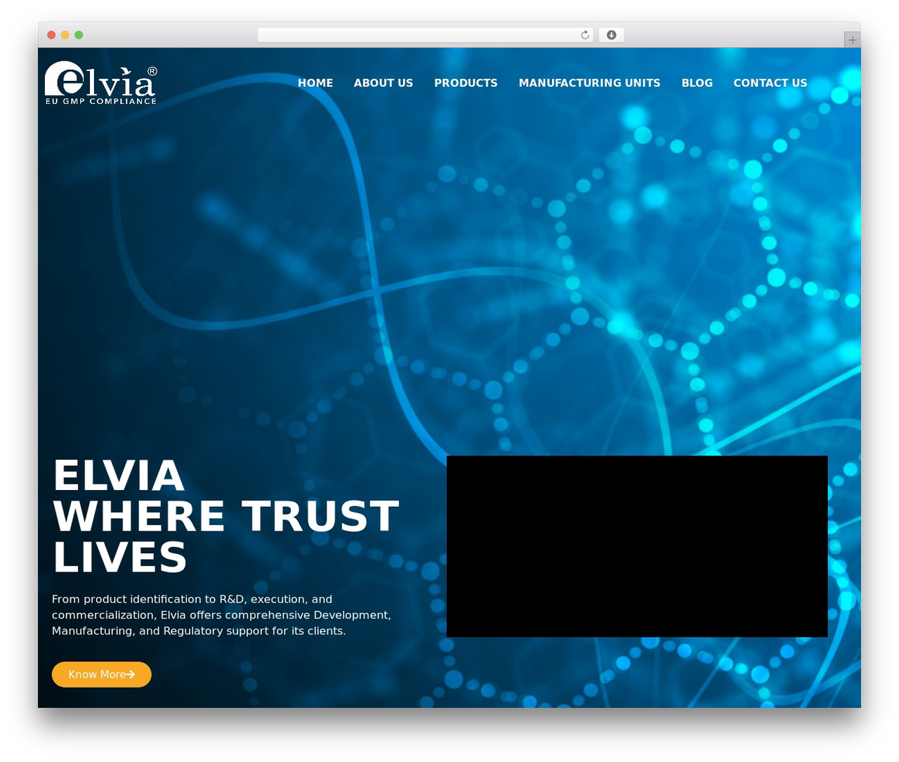 WordPress theme Hello Elementor - elviacare.com WordPress theme Hello Elementor - elviacare.com