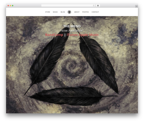 WordPress theme Divi - kidneythieves.com