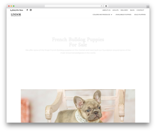 Badge Designer Lite For WooCommerce (woo-badge-designer-lite) free WordPress plugin - lindorfrenchbulldogs.com Badge Designer Lite For WooCommerce (woo-badge-designer-lite) free WordPress plugin - lindorfrenchbulldogs.com