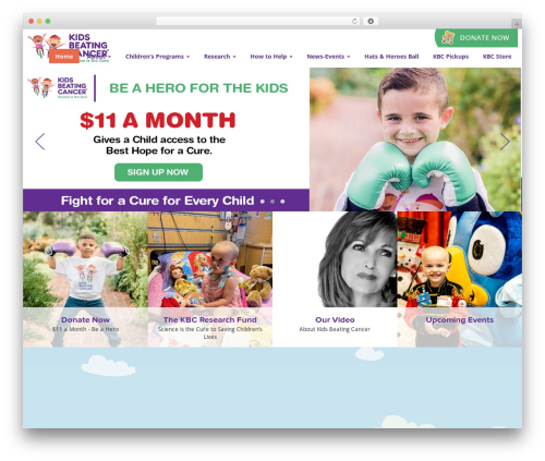 WP theme Appleton Creative KBC Theme (Responsive) - kidsbeatingcancer.com