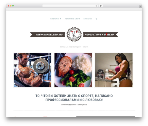 Expert review WordPress plugin - kandeleria.ru