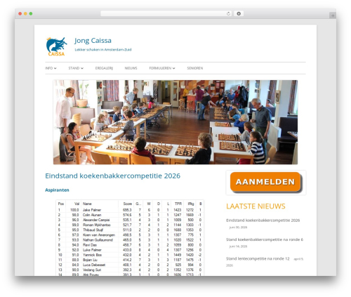 Tiny Framework WordPress theme - jongcaissa.nl