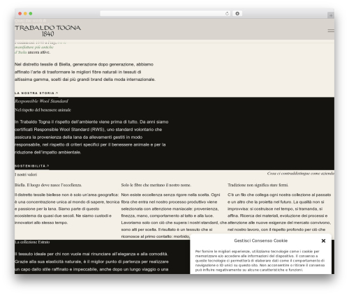 WordPress theme audrey - trabaldotogna.com
