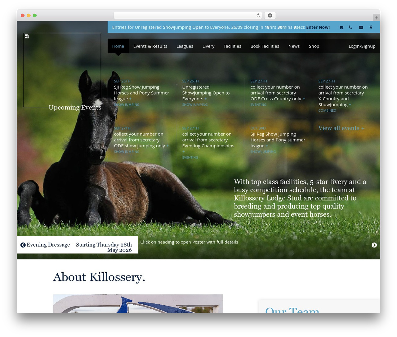 WordPress theme Sage Starter Theme - killossery.ie WordPress theme Sage Starter Theme - killossery.ie