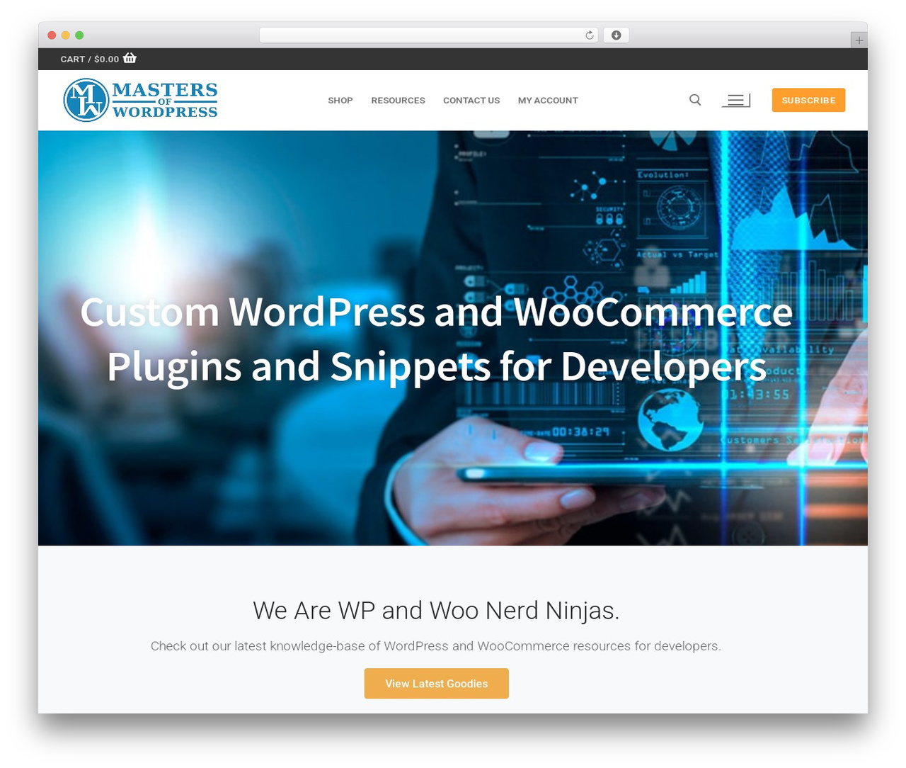 Customify WordPress store theme - mastersofwordpress.com Customify WordPress store theme - mastersofwordpress.com