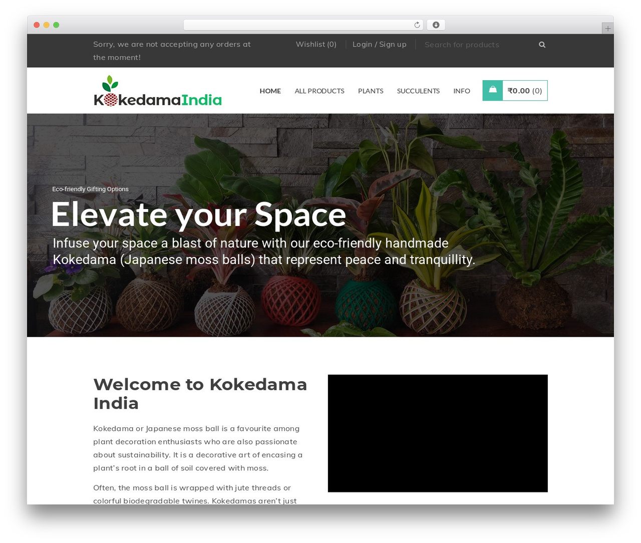 Gon theme WordPress - kokedamaindia.com
