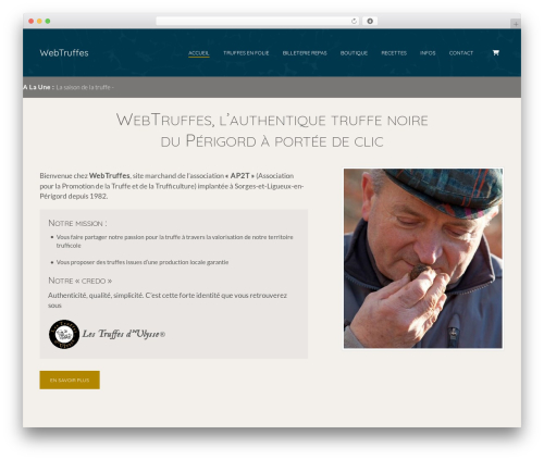 Modules theme WordPress - webtruffes.com