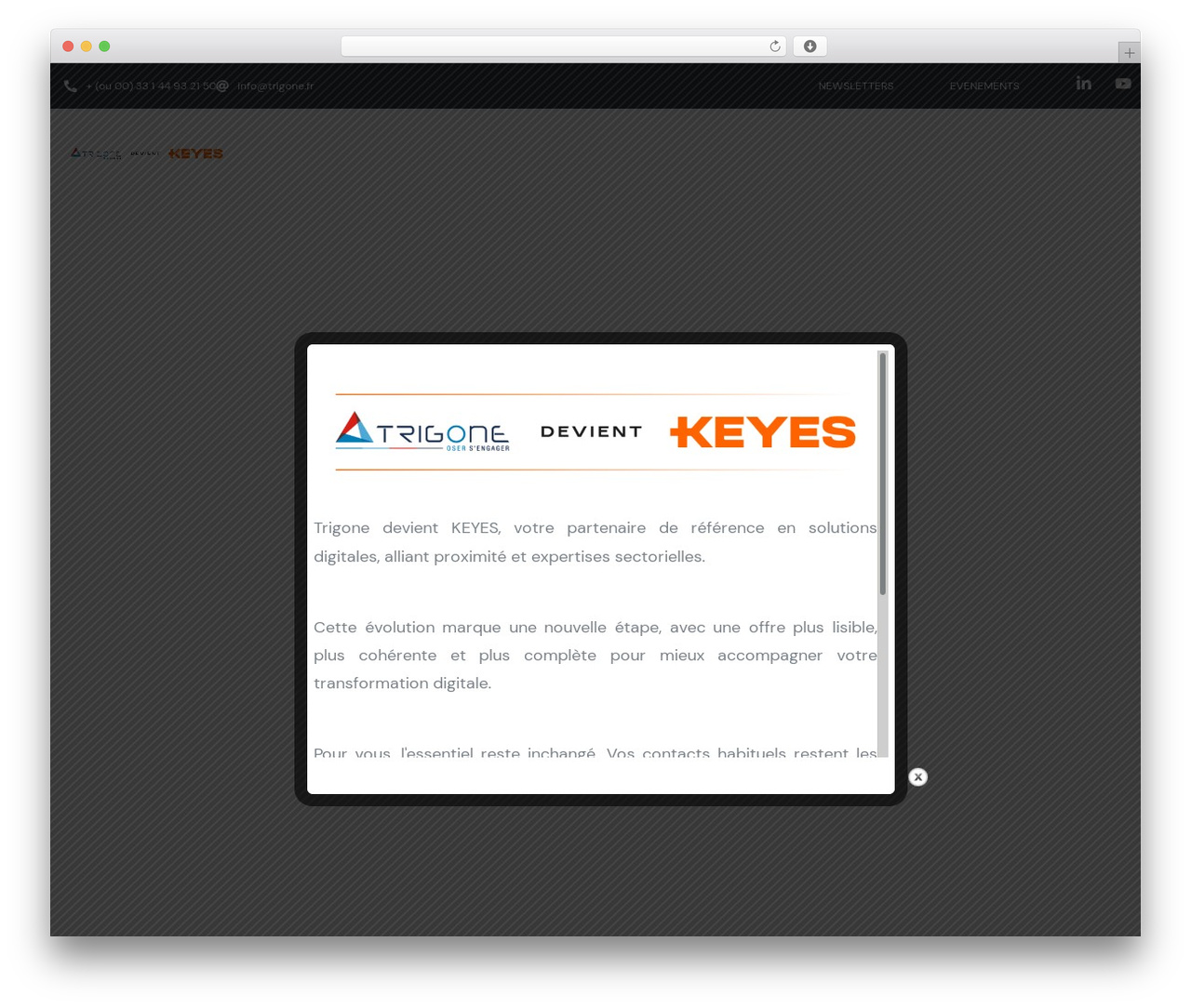Theme WordPress Conult - trigone.fr