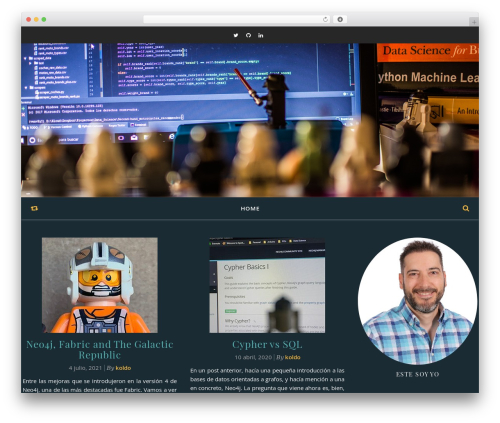 Theme WordPress Flexblog - koldopina.com