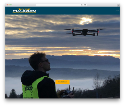 Columns and sections link for elementor WordPress plugin - fly-dron.it