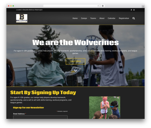 Teamsnap_wordpress WordPress plugin - bellevuegirlslax.com