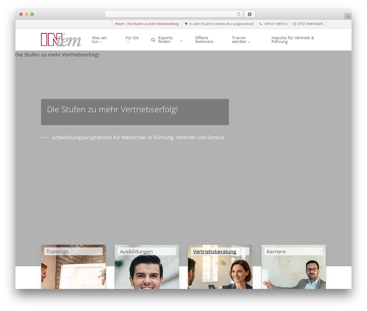 Salient Child Theme WordPress theme - intem.de
