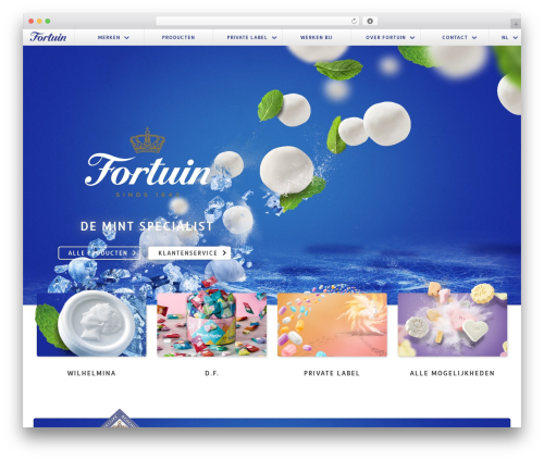 Theme WordPress hellema - fortuin.com