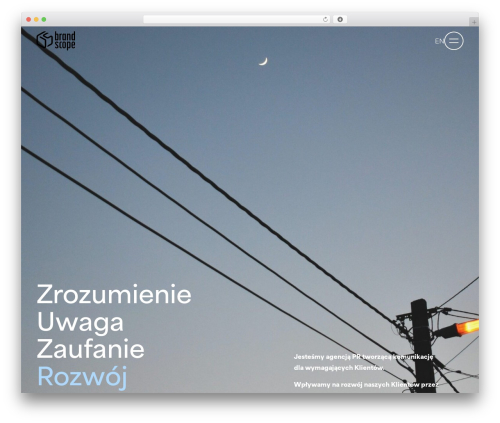 Theme WordPress Simpli - brandscope.pl