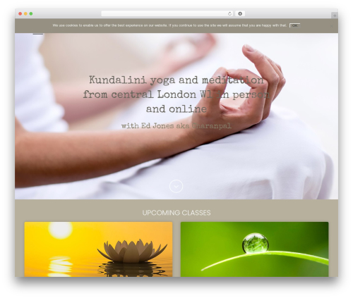 Fat event WordPress plugin - kundaliniyoga.london