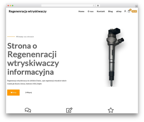Envo Extra (envo-extra) free WordPress plugin - regeneracjewtryskiwaczy.pl