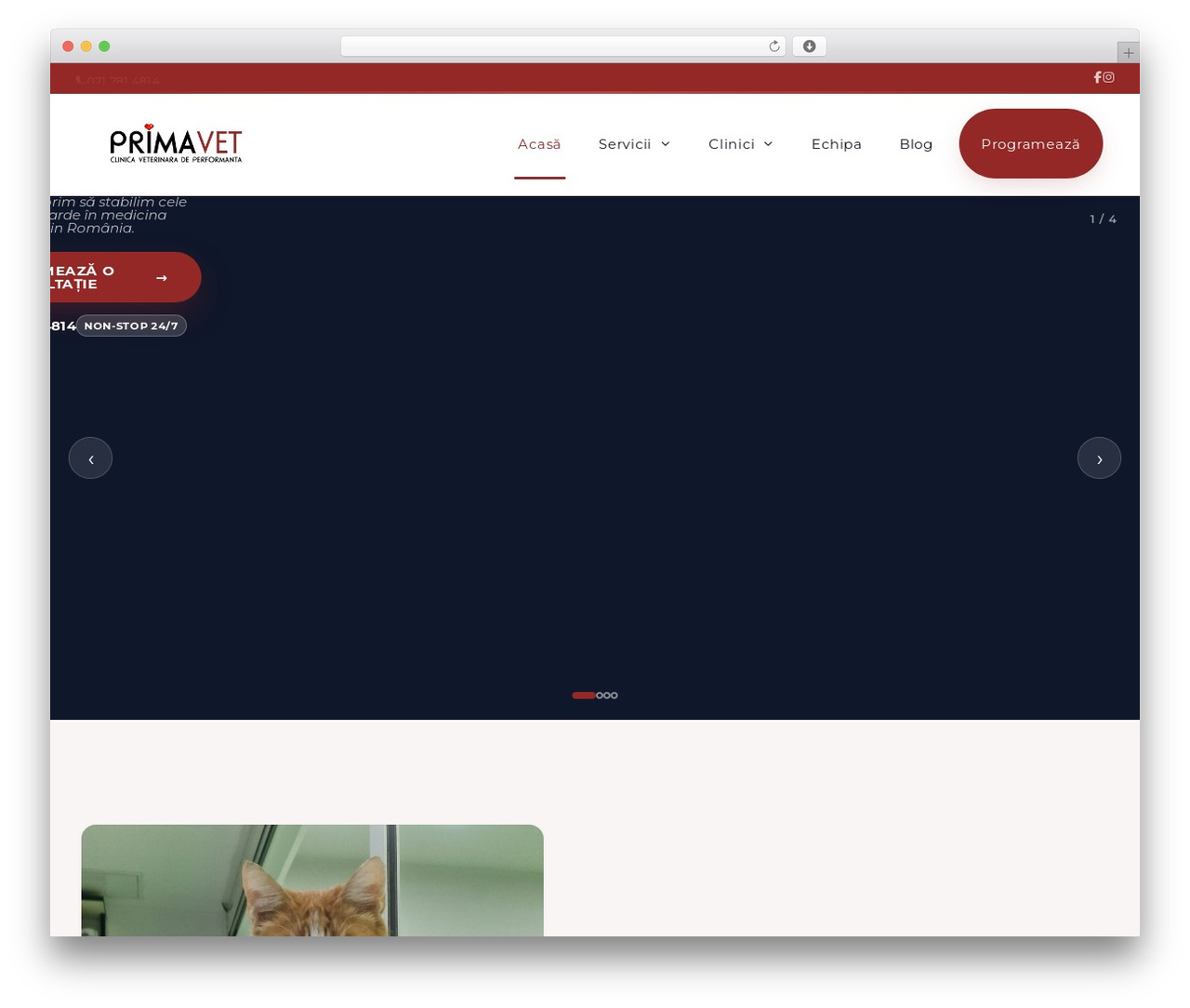 GeneratePress theme WordPress - prima-vet.ro GeneratePress theme WordPress - prima-vet.ro