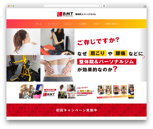Theme WordPress BMT - bmt-seitai.com