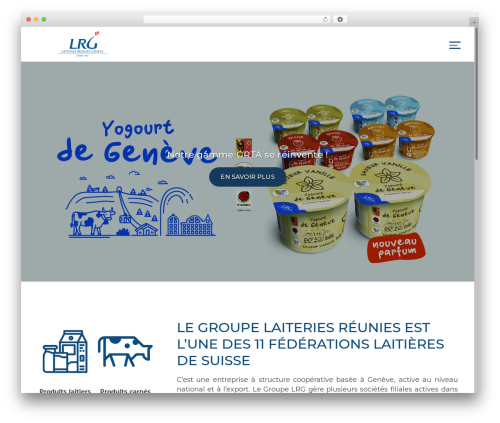WordPress theme devdummy - lrgg.ch