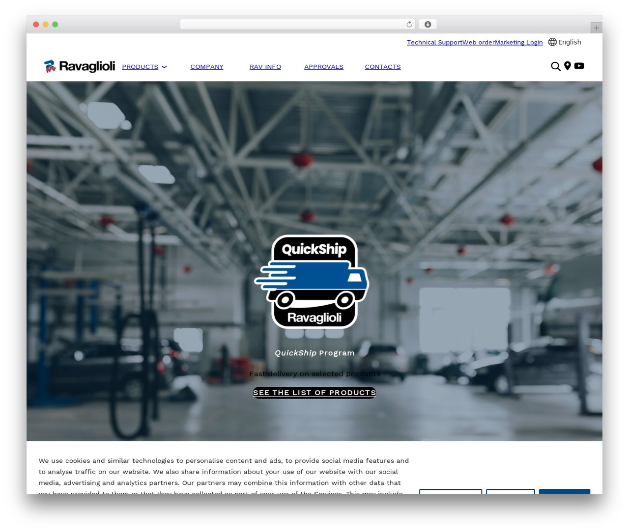 WordPress theme vsge-theme - ravaglioli.com