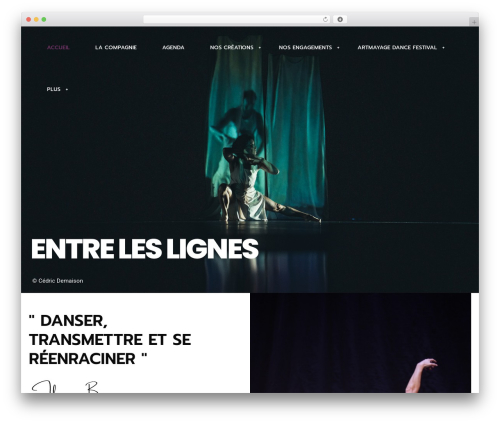 Rs_addons WordPress plugin - artmayage.fr