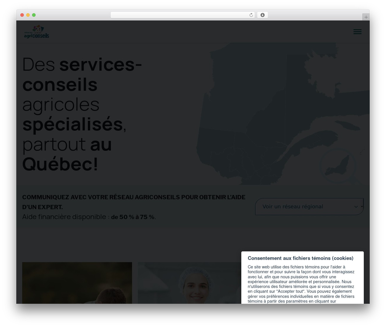 Vortex theme WordPress - agriconseils.qc.ca Vortex theme WordPress - agriconseils.qc.ca