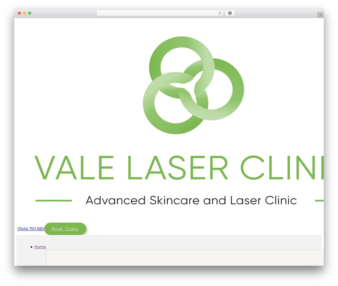 WordPress theme Bricks - valelaserclinic.co.uk