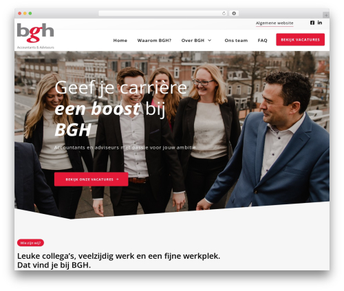 Hub elementor addons WordPress plugin - werkenbijbgh.nl