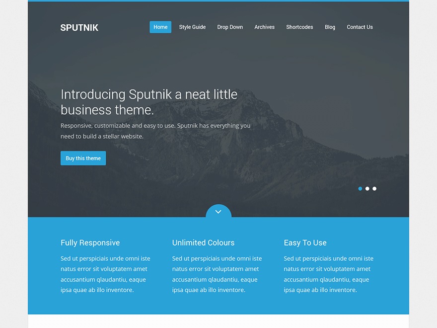 Sputnik business WordPress theme