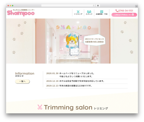 Temp WordPress theme design - shampoo-111.com