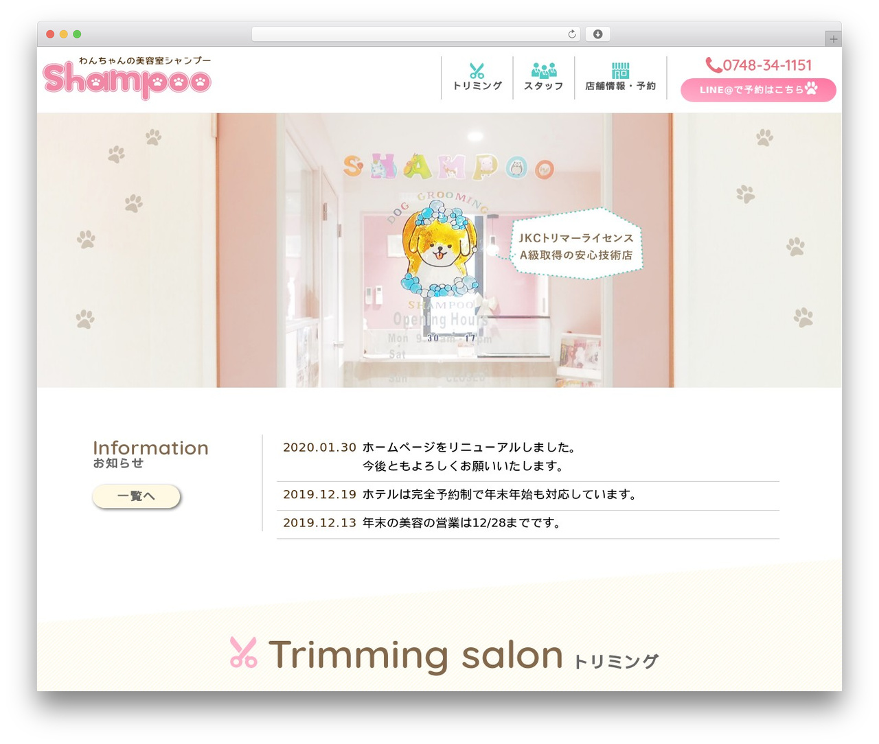temp WordPress theme design - shampoo-111.com temp WordPress theme design - shampoo-111.com
