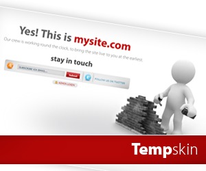 Theme WordPress Tempskin by jinsona
