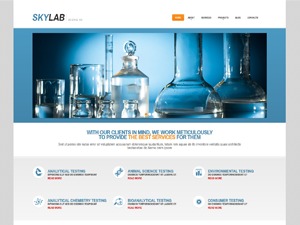 theme49002 WordPress theme