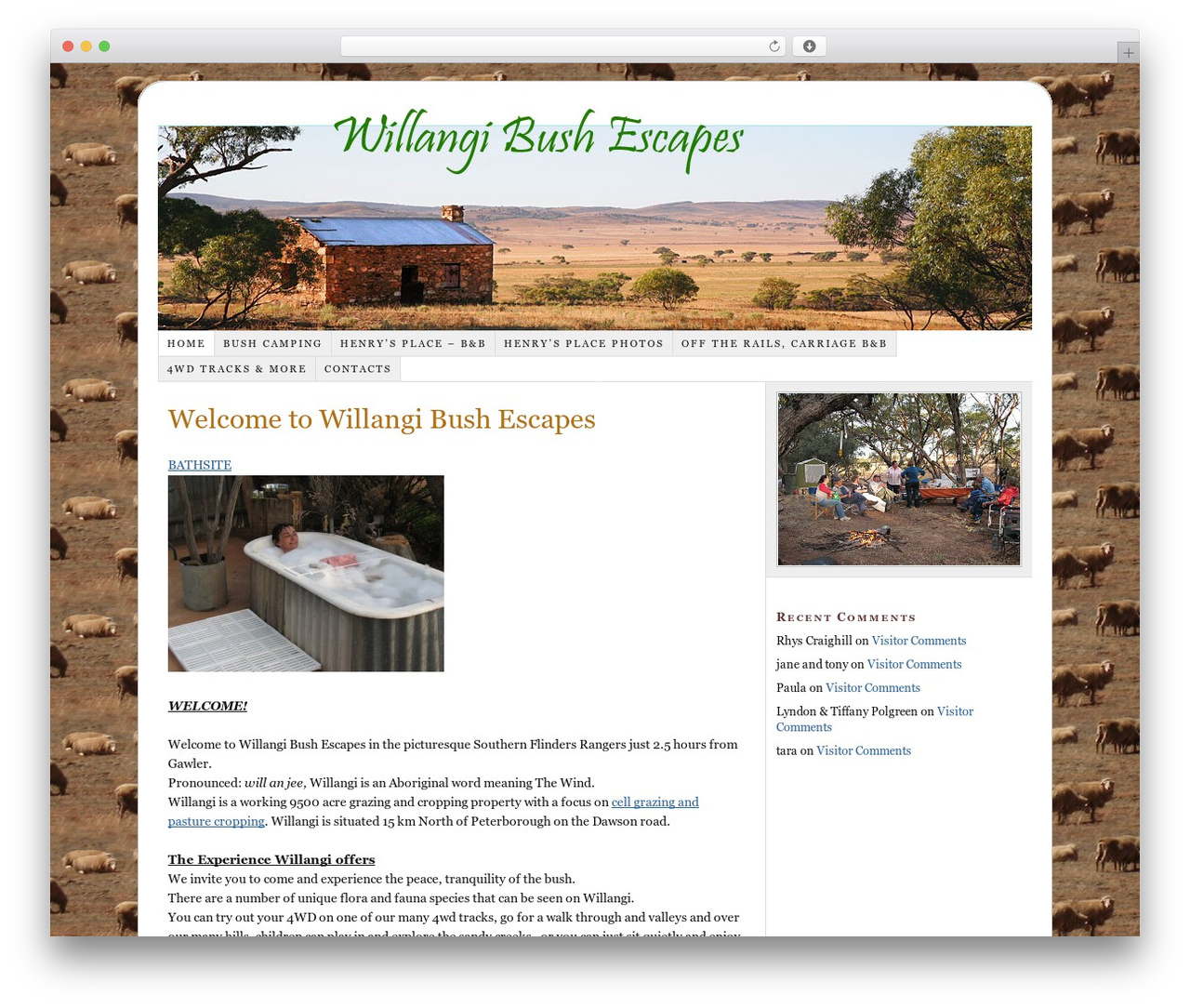 Thesis WordPress theme - willangibushescapes.com Thesis WordPress theme - willangibushescapes.com