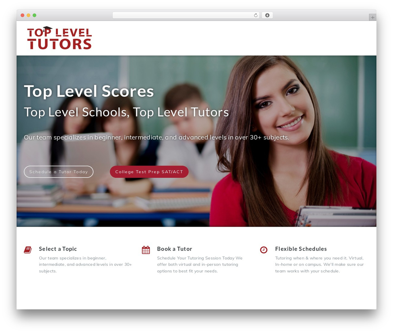 WordPress theme Elemental - topleveltutors.com