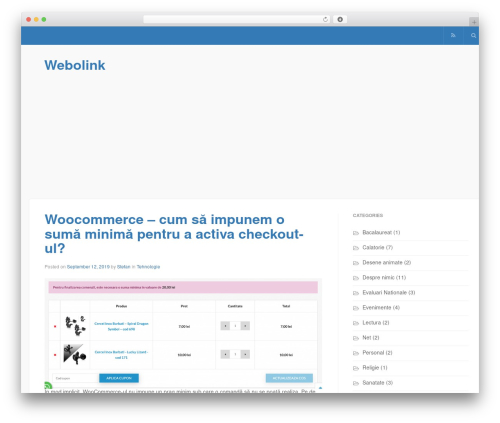 WordPress theme EXPRESS - webolink.com