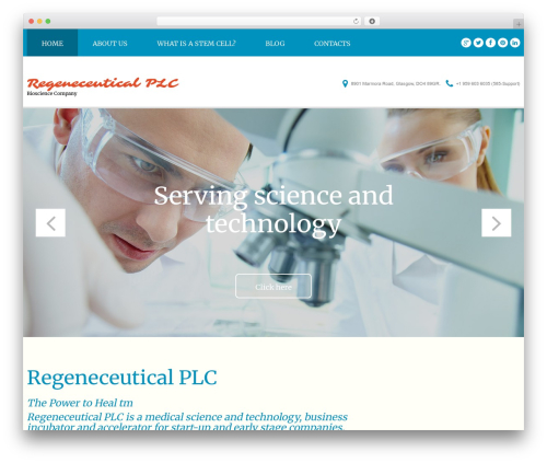 cherry WordPress theme - defenderbra.com