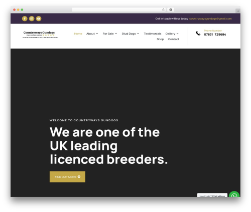 Woocommerce gateway nmi WordPress plugin - countrywaysgundogs.com