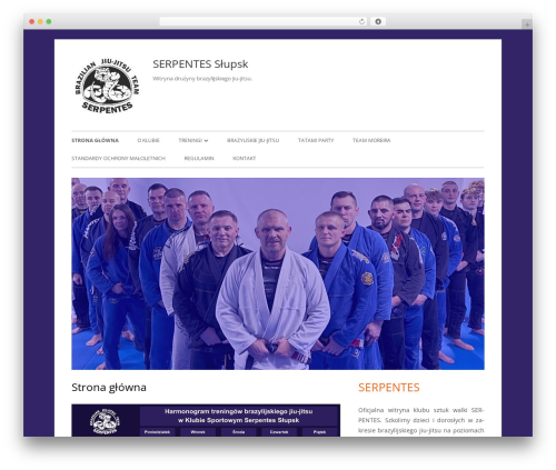Tiny Framework theme WordPress - serpentes.pl Tiny Framework theme WordPress - serpentes.pl