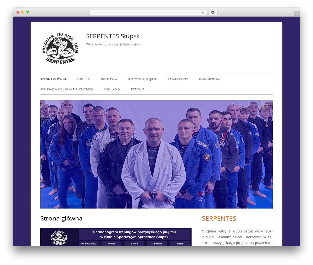 Tiny Framework theme WordPress - serpentes.pl Tiny Framework theme WordPress - serpentes.pl