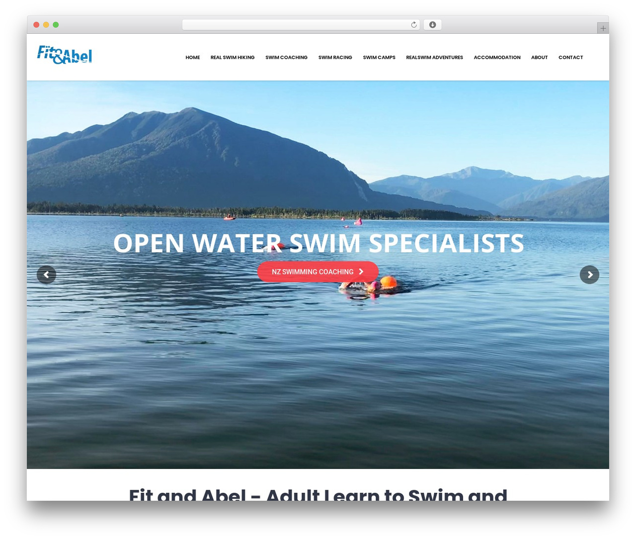 WordPress theme Affinity - fitandabel.com