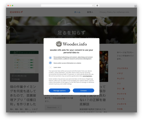 WordPress theme Anima - wooder.info