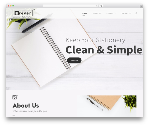 WordPress theme Kleanity - rever.biz