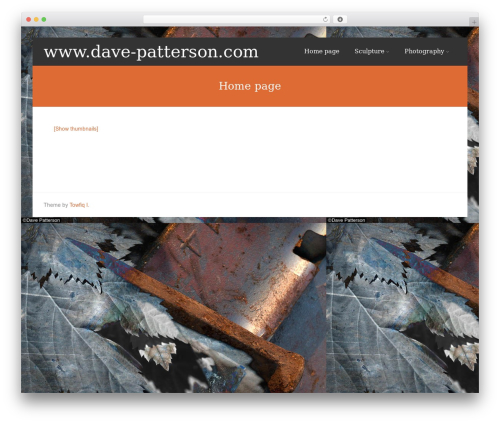 Asteria Lite WordPress theme - dave-patterson.com