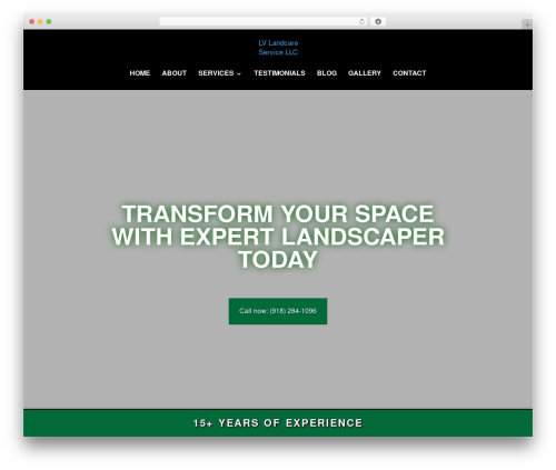 Divi theme WordPress - lvlandcareservice.com
