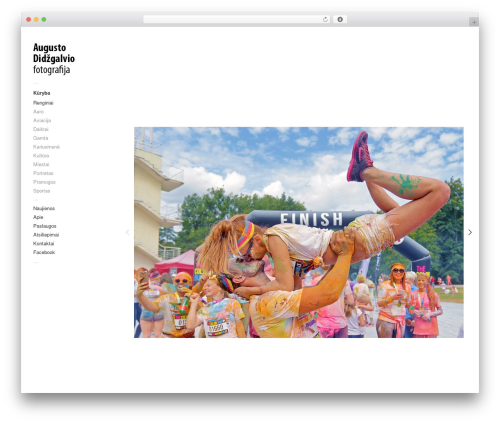 Touchfolio WordPress theme - didzgalvis.lt