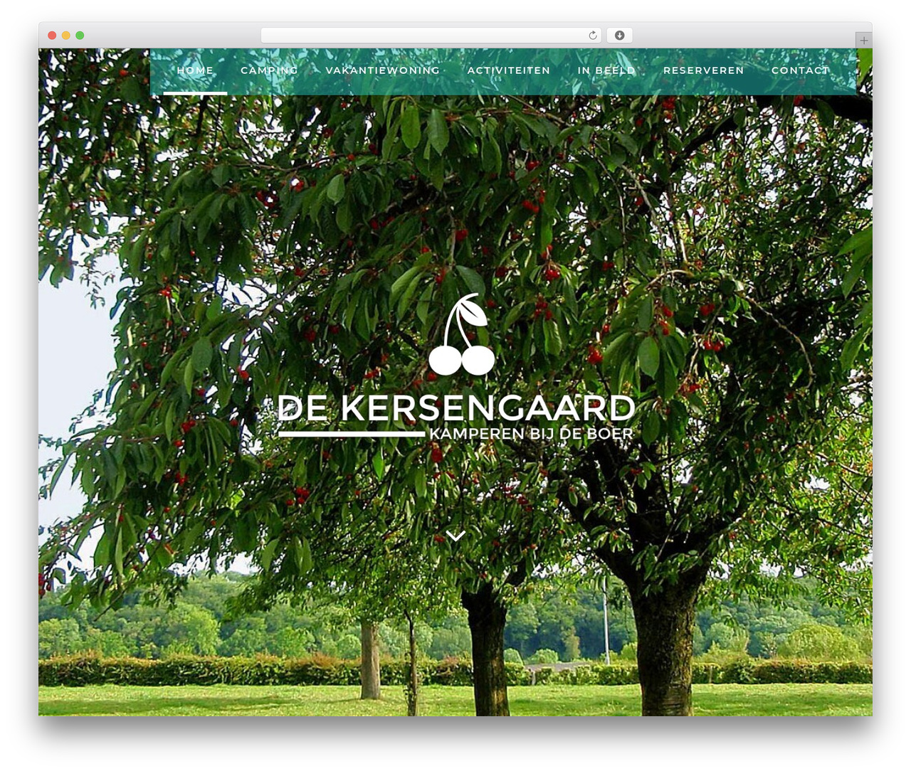 Bodega theme WordPress - dekersengaard.nl