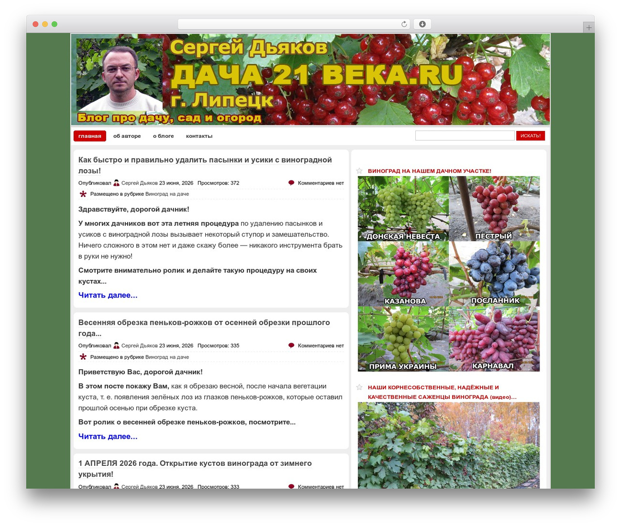 Division-Wordpress WordPress theme - dacha21veka.ru Division-Wordpress WordPress theme - dacha21veka.ru
