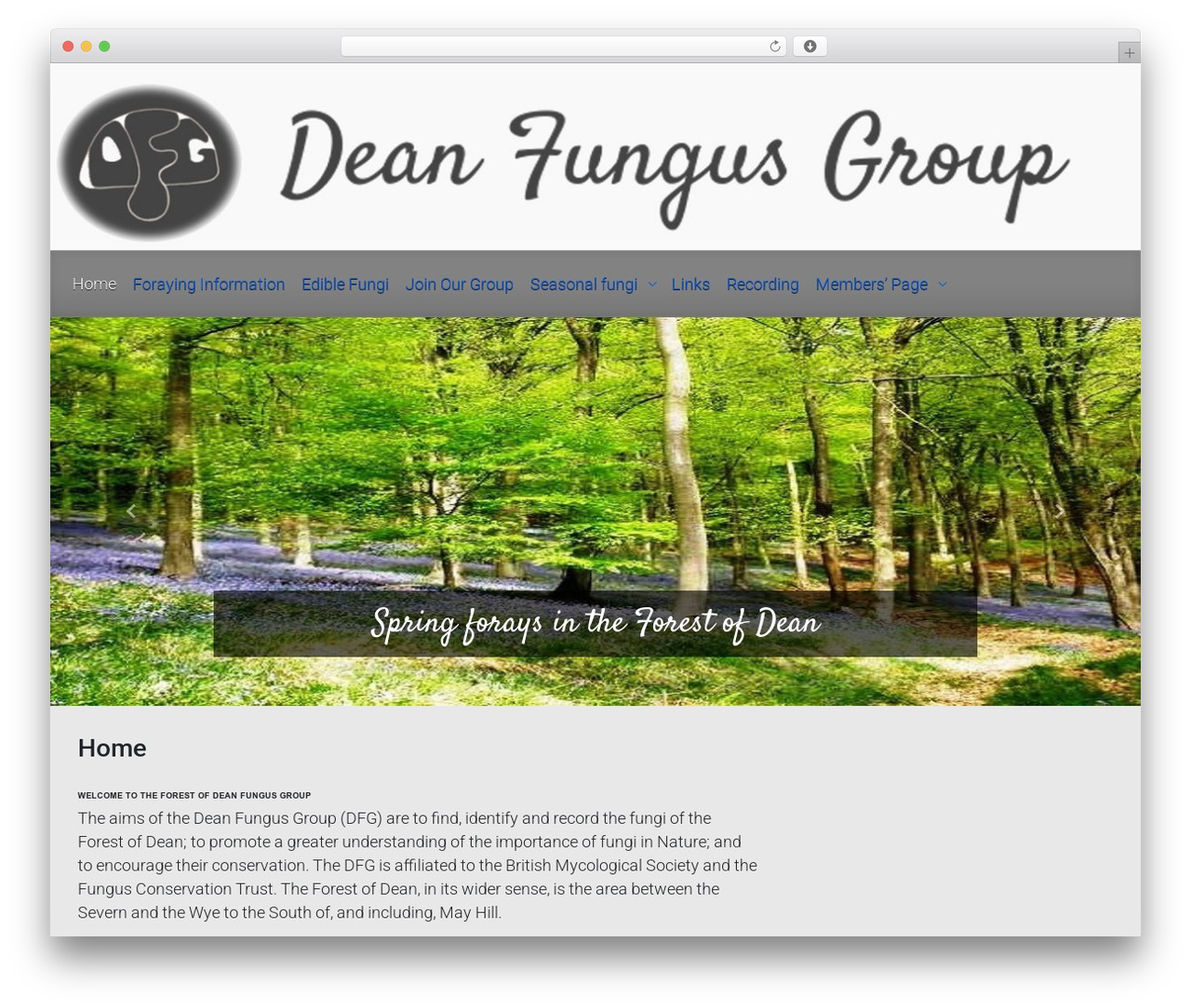 evolve free WordPress theme - deanfungusgroup.com
