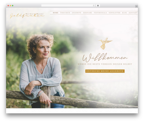 Freesoul theme WordPress - goldfunken.ch